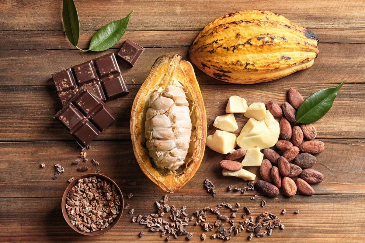 Sự khác biệt giữa Cocoa và Socola